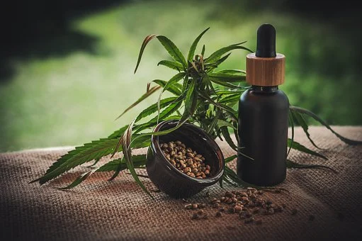 What is CBD Hemp and What Can it Do For You?